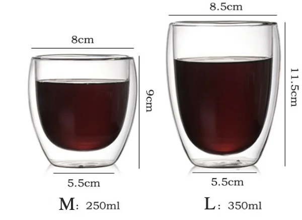 Double Wall Glass Cup